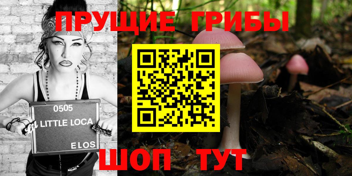 Галлюциногенные грибы Psilocybe  Галлюциногенные грибы GOLDEN TEACHER  Вход с VPN  Назрань 